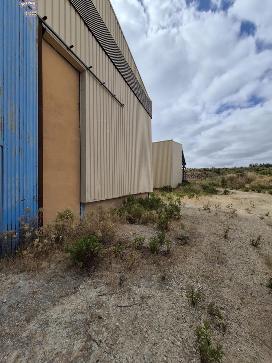 Azienda in vendita in Arcos de la Frontera - 1.600.000 € (Rif: 9116290)