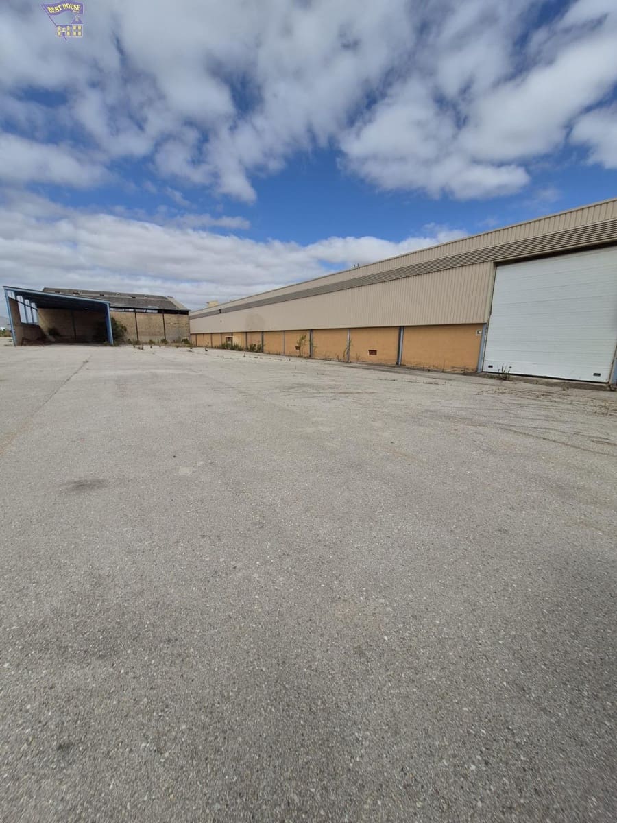 Azienda in vendita in Arcos de la Frontera - 1.600.000 € (Rif: 9116290)