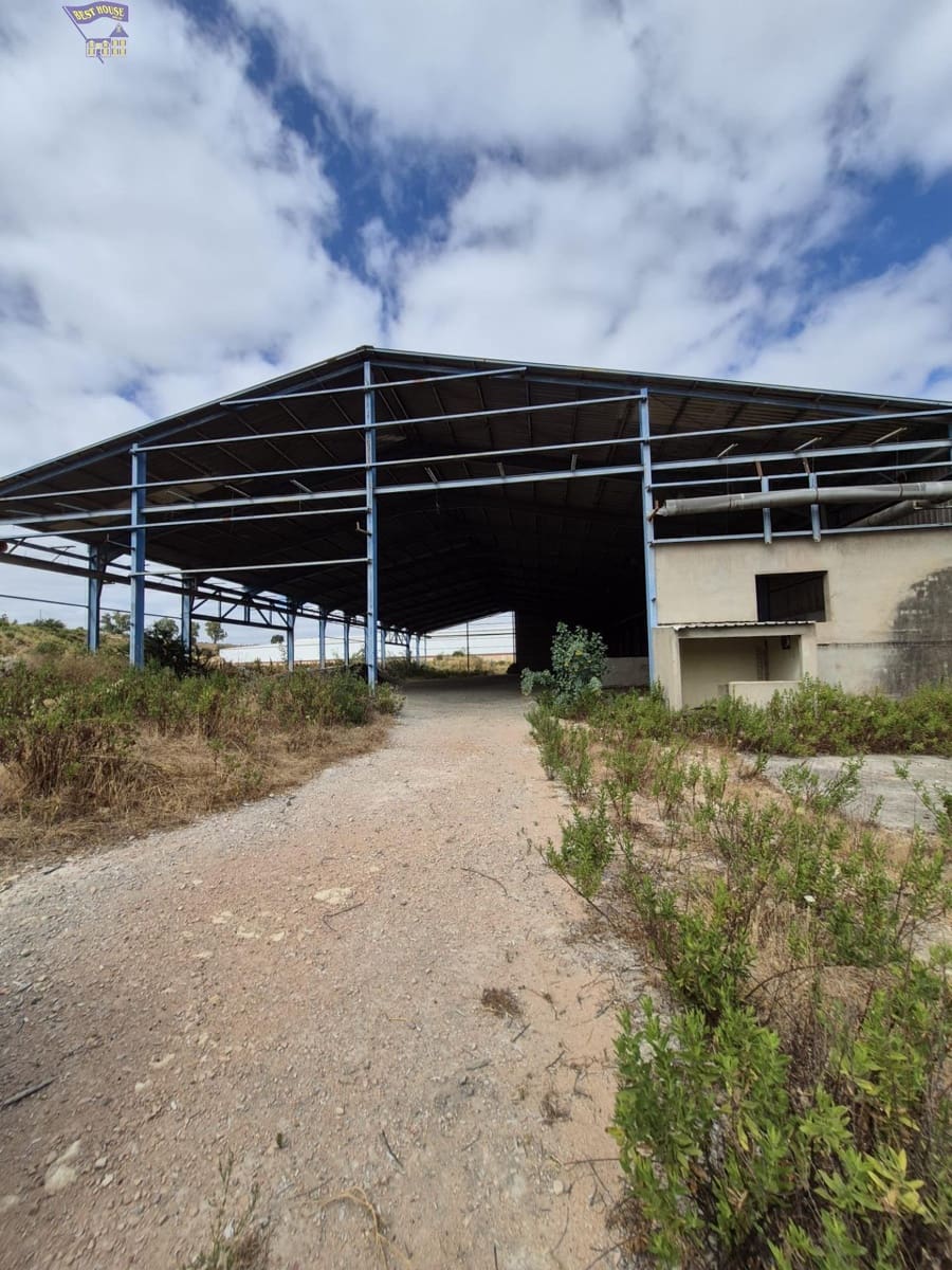 Azienda in vendita in Arcos de la Frontera - 1.600.000 € (Rif: 9116290)