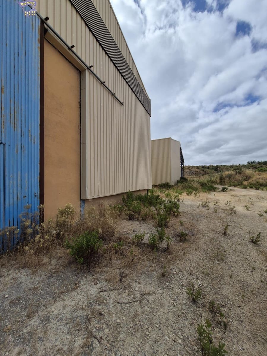 Azienda in vendita in Arcos de la Frontera - 1.600.000 € (Rif: 9116290)