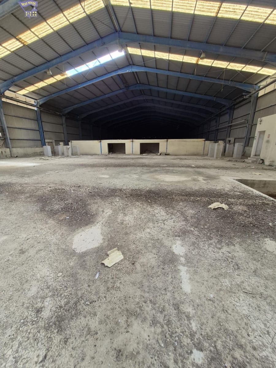 Azienda in vendita in Arcos de la Frontera - 1.600.000 € (Rif: 9116290)