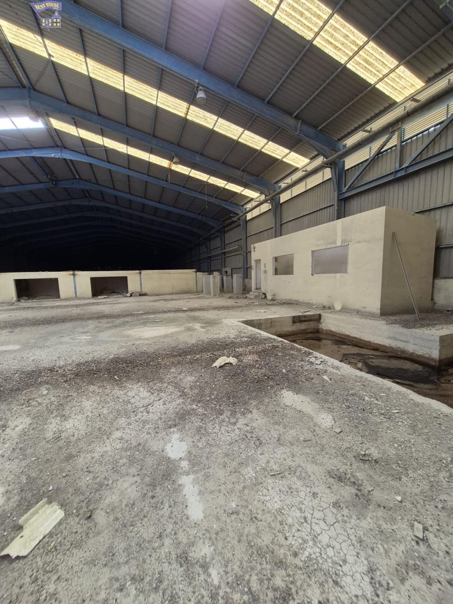 Azienda in vendita in Arcos de la Frontera - 1.600.000 € (Rif: 9116290)