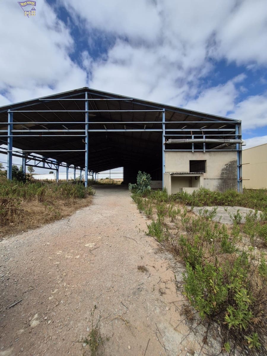Azienda in vendita in Arcos de la Frontera - 1.600.000 € (Rif: 9116290)