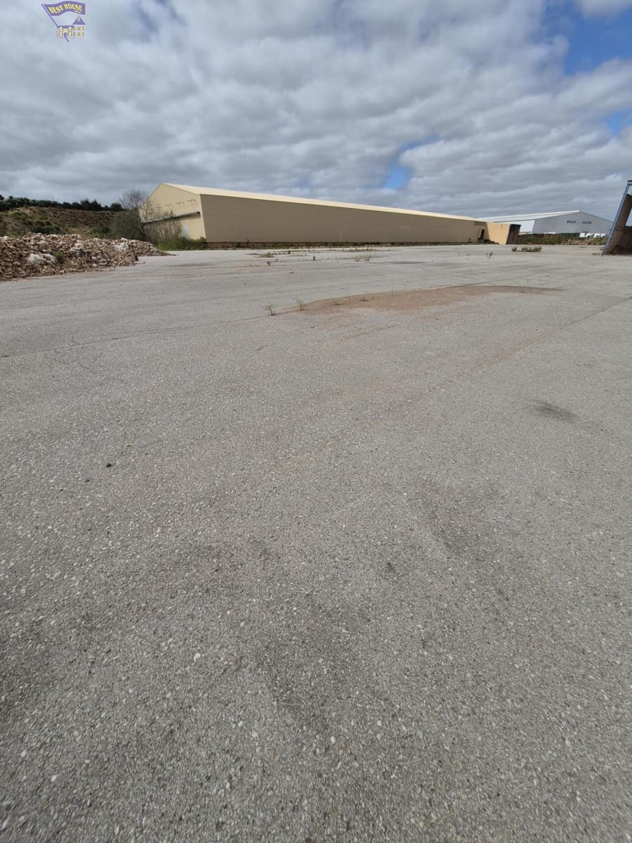 Azienda in vendita in Arcos de la Frontera - 1.600.000 € (Rif: 9116290)
