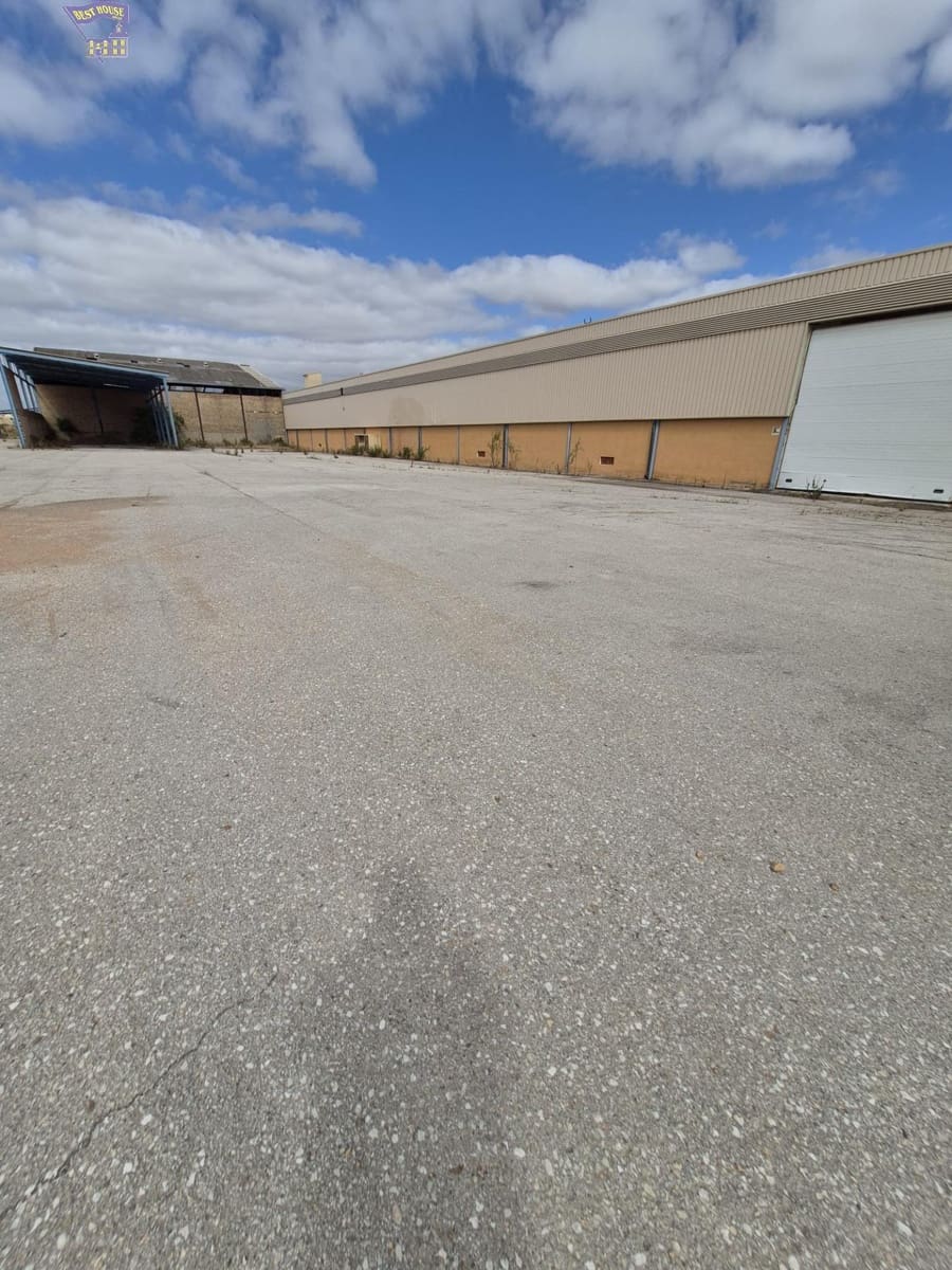 Azienda in vendita in Arcos de la Frontera - 1.600.000 € (Rif: 9116290)