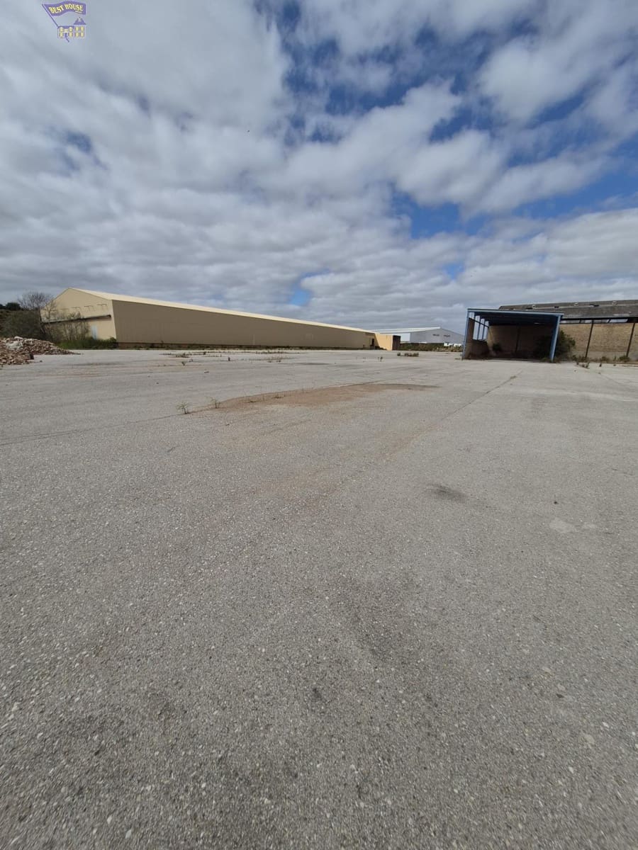 Azienda in vendita in Arcos de la Frontera - 1.600.000 € (Rif: 9116290)
