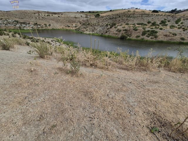 Azienda in vendita in Arcos de la Frontera - 1.600.000 € (Rif: 9116290)