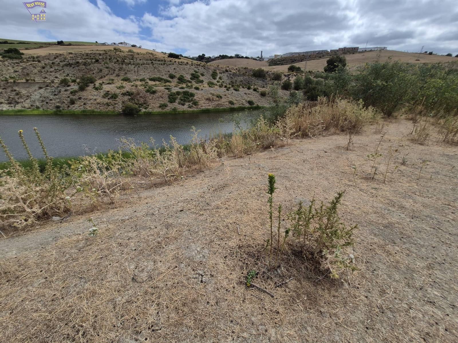 Azienda in vendita in Arcos de la Frontera - 1.600.000 € (Rif: 9116290)
