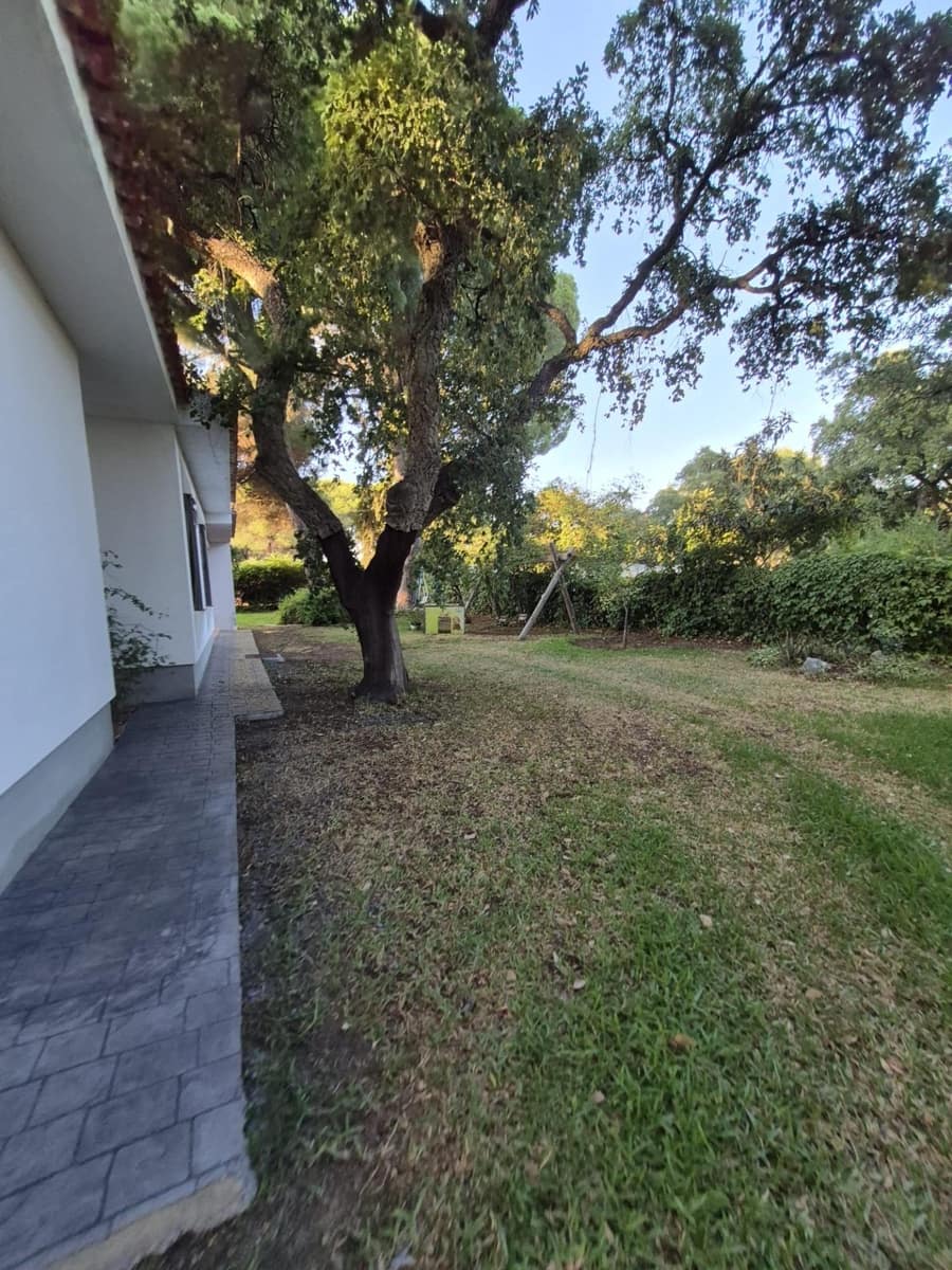 5 soveværelse Villa til leje i Arcos de la Frontera med swimmingpool - € 800 (Ref: 9202595)