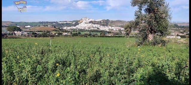 4 quarto Quinta/Casa Rural para venda em Arcos de la Frontera - 350 000 € (Ref: 9217671)