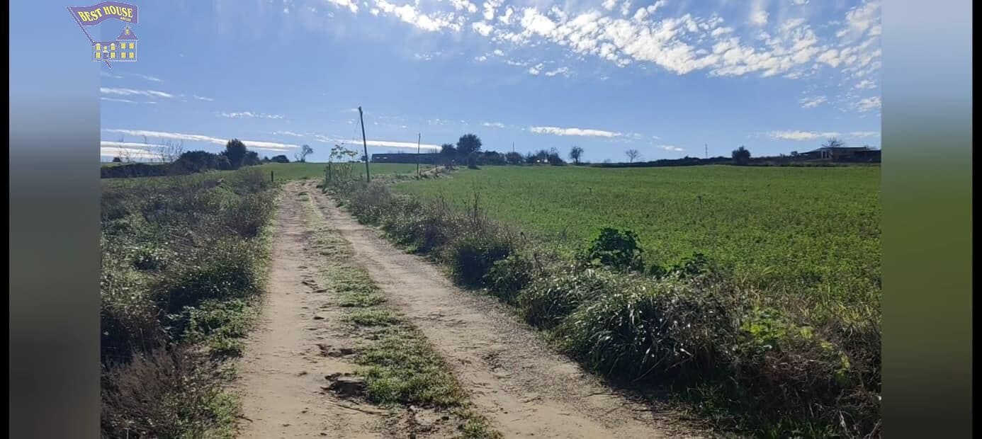 4 quarto Quinta/Casa Rural para venda em Arcos de la Frontera - 350 000 € (Ref: 9217671)