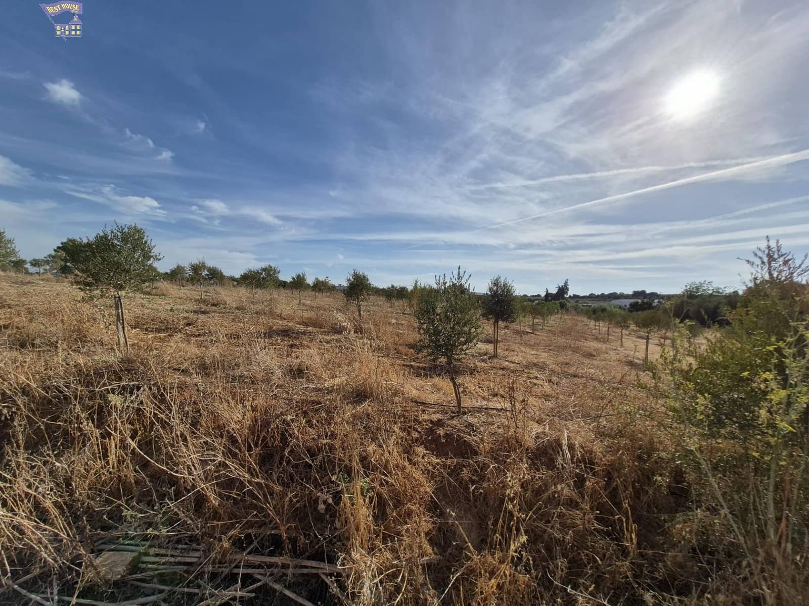4 quarto Quinta/Casa Rural para venda em Arcos de la Frontera - 350 000 € (Ref: 9276521)