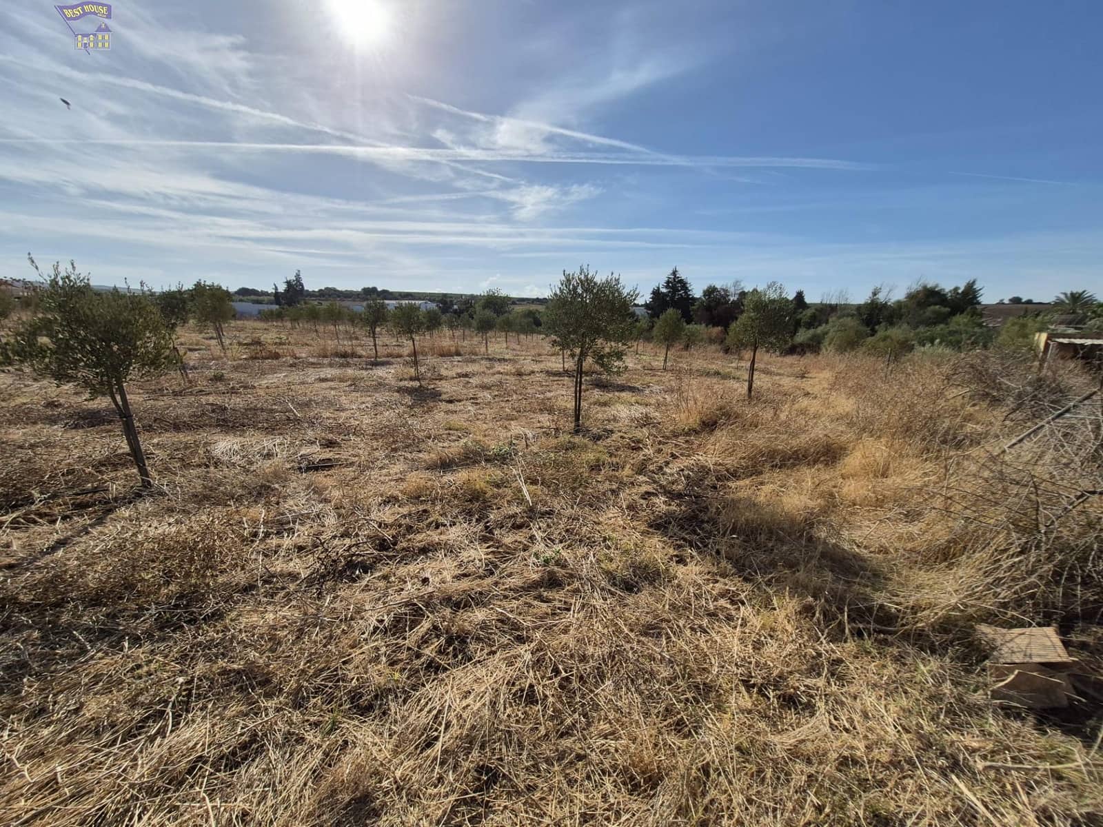 4 quarto Quinta/Casa Rural para venda em Arcos de la Frontera - 350 000 € (Ref: 9276521)