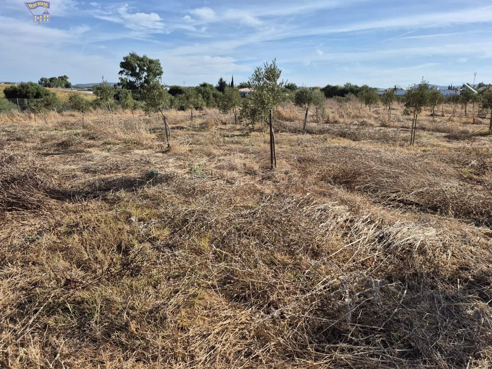 4 quarto Quinta/Casa Rural para venda em Arcos de la Frontera - 350 000 € (Ref: 9276521)