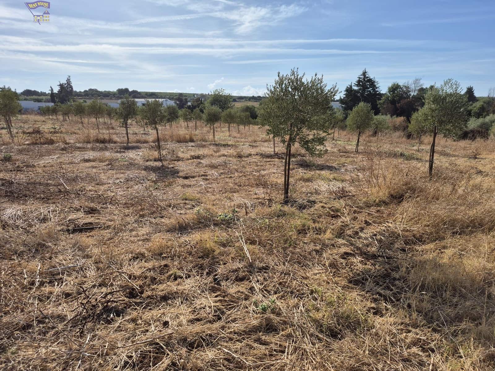 4 quarto Quinta/Casa Rural para venda em Arcos de la Frontera - 350 000 € (Ref: 9276521)