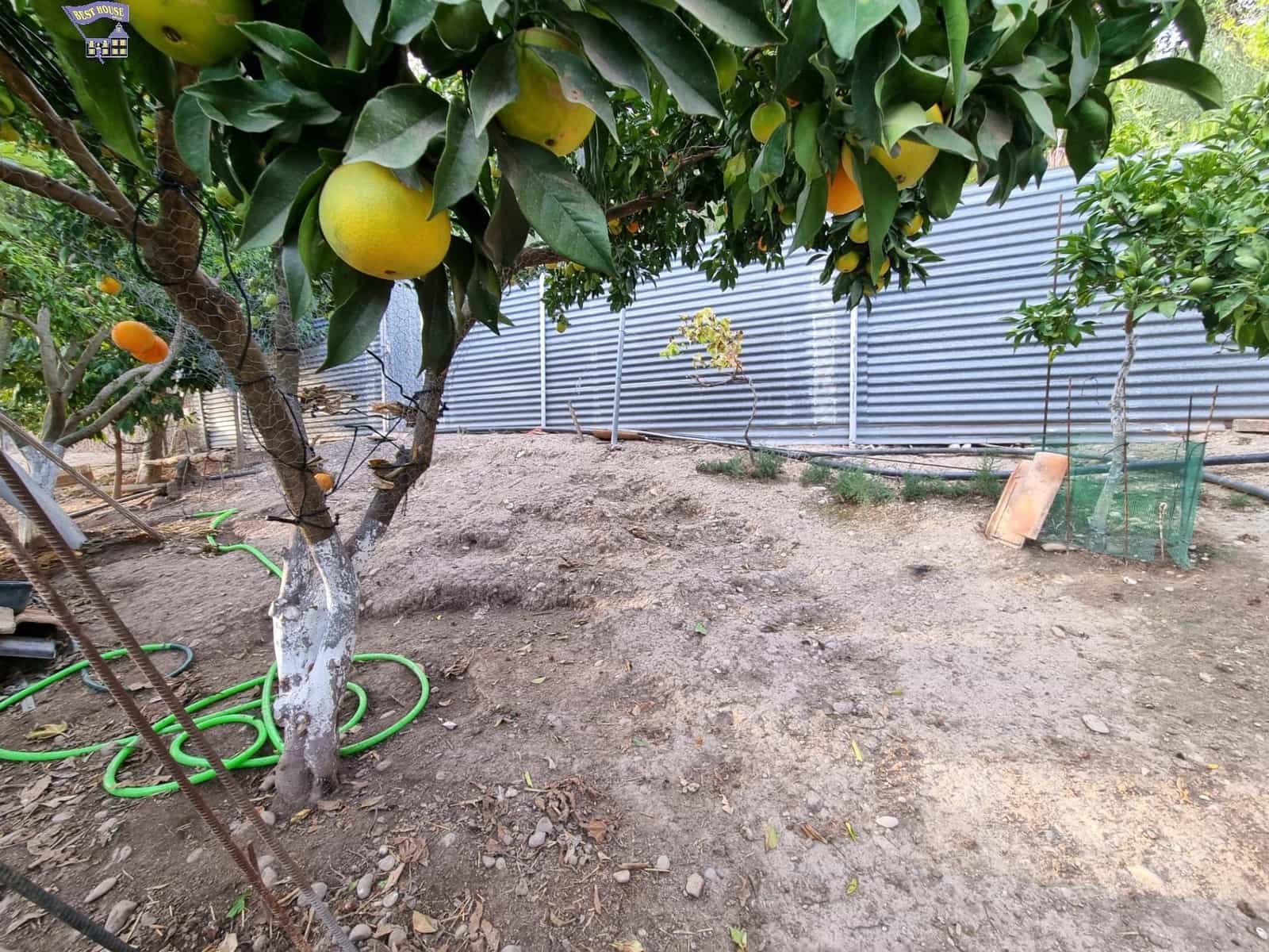 4 chambre Finca/Maison de Campagne à vendre à Arcos de la Frontera - 215 000 € (Ref: 9362536)