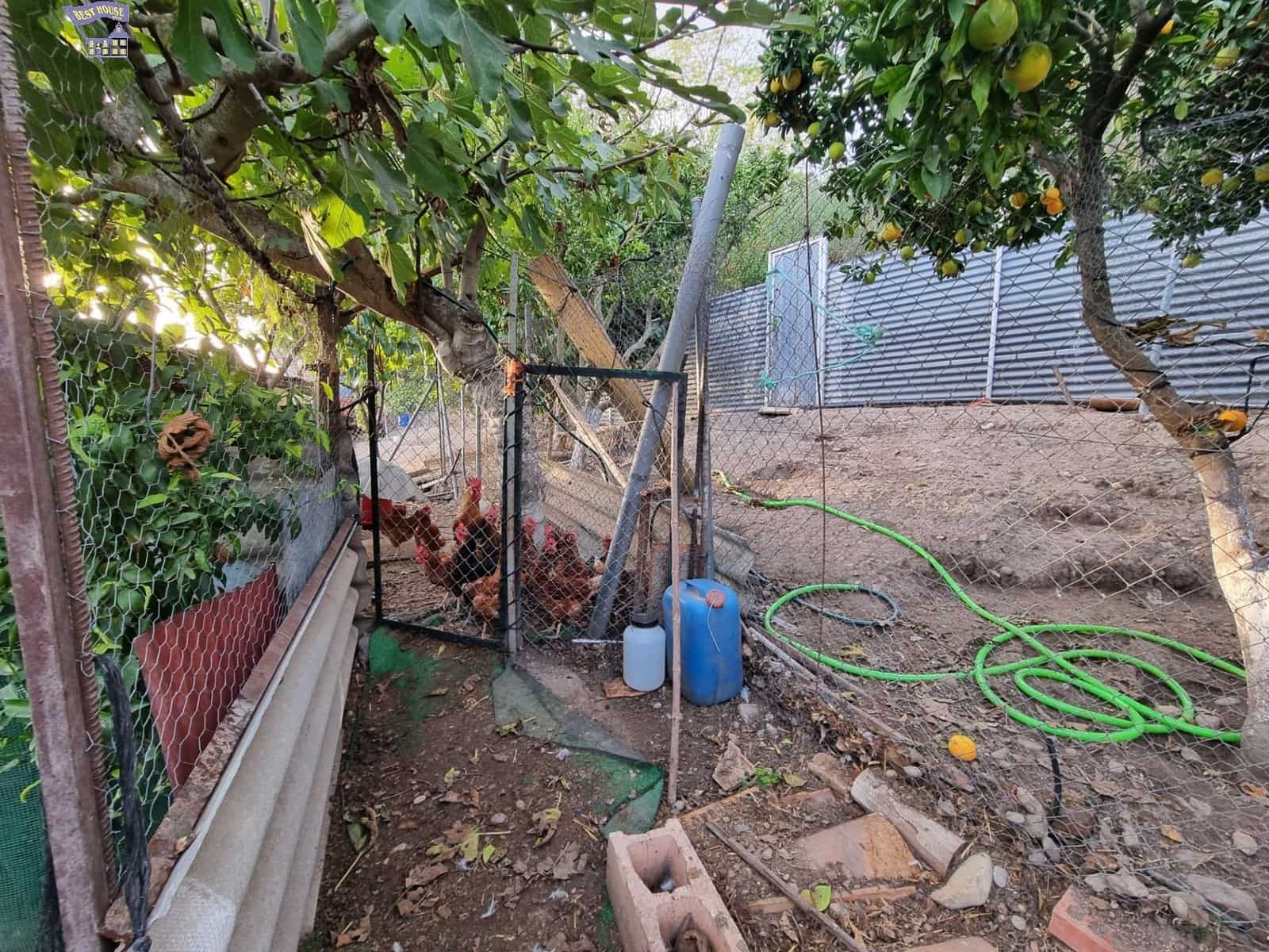 4 chambre Finca/Maison de Campagne à vendre à Arcos de la Frontera - 215 000 € (Ref: 9362536)