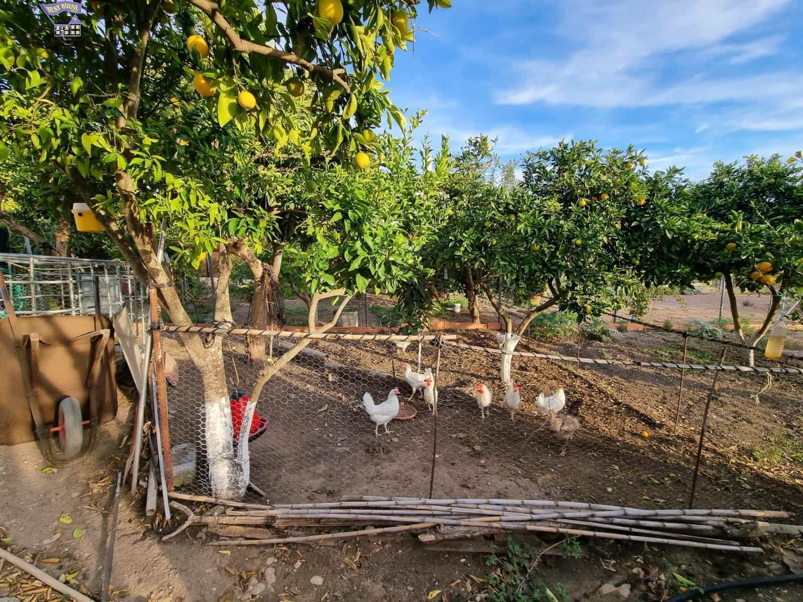 4 chambre Finca/Maison de Campagne à vendre à Arcos de la Frontera - 215 000 € (Ref: 9362536)