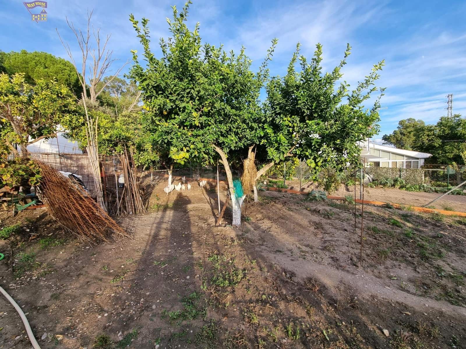 4 chambre Finca/Maison de Campagne à vendre à Arcos de la Frontera - 215 000 € (Ref: 9362536)