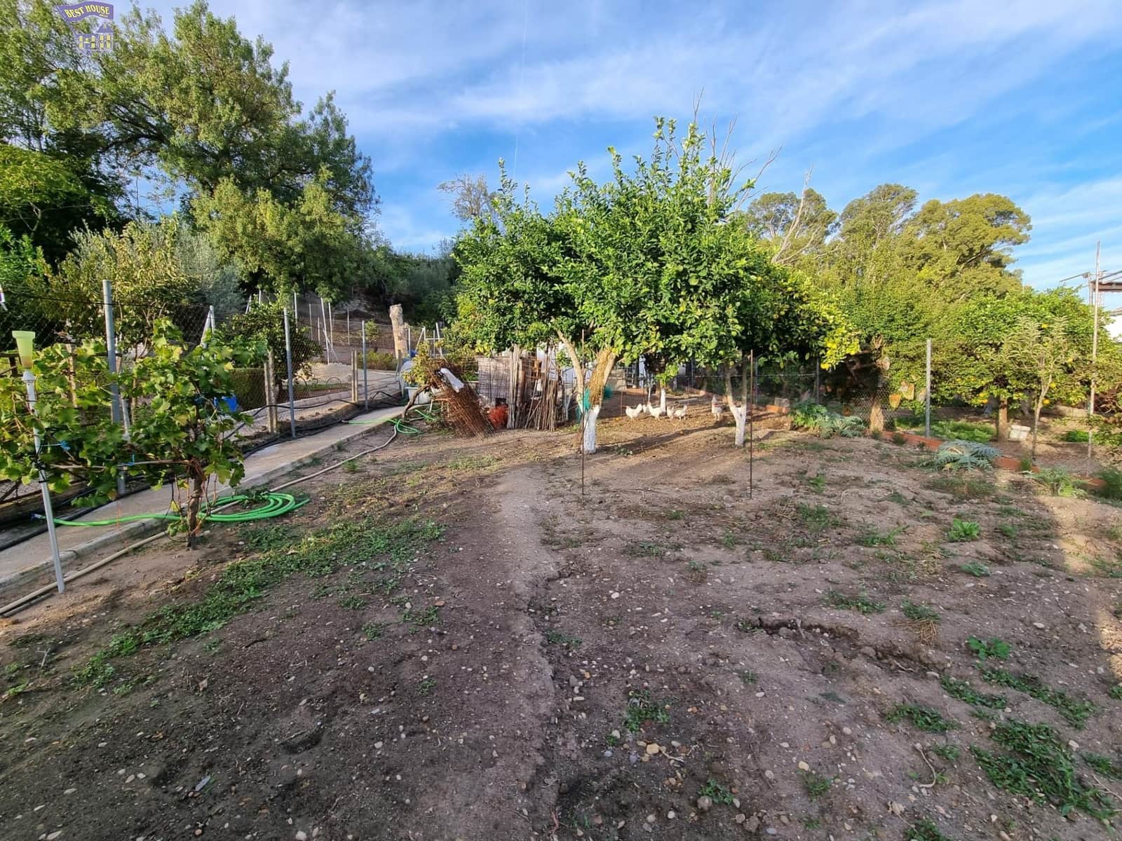 4 chambre Finca/Maison de Campagne à vendre à Arcos de la Frontera - 215 000 € (Ref: 9362536)