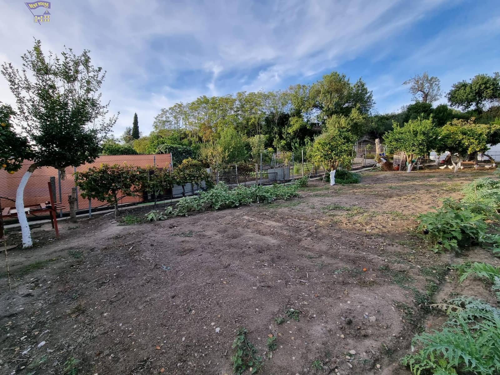 4 chambre Finca/Maison de Campagne à vendre à Arcos de la Frontera - 215 000 € (Ref: 9362536)