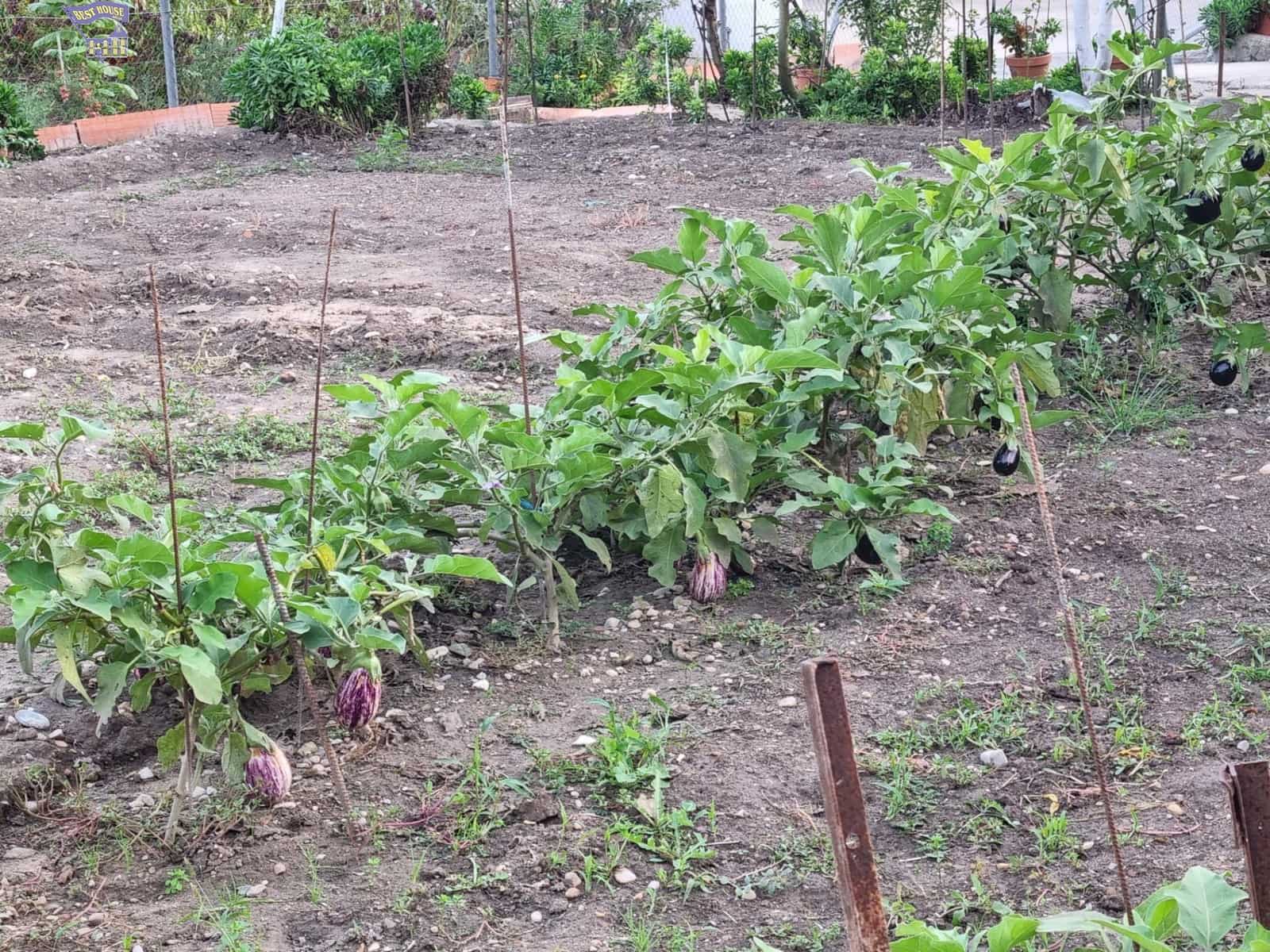 4 chambre Finca/Maison de Campagne à vendre à Arcos de la Frontera - 215 000 € (Ref: 9362536)