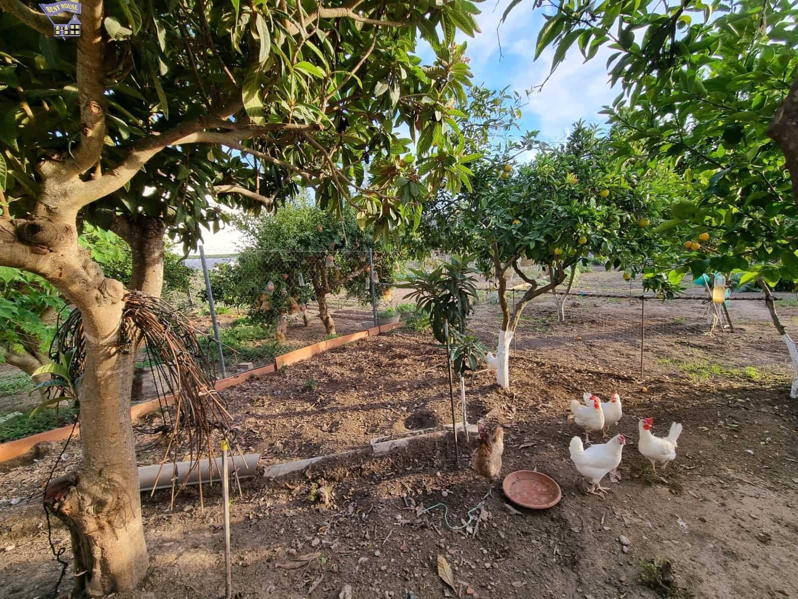 4 chambre Finca/Maison de Campagne à vendre à Arcos de la Frontera - 215 000 € (Ref: 9362536)