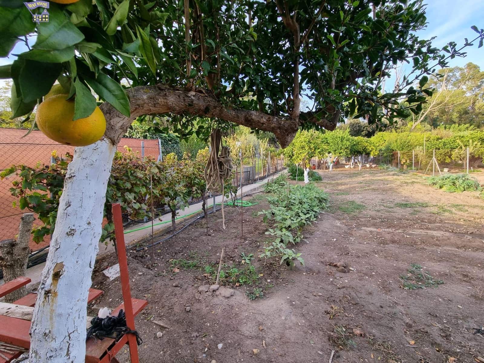4 chambre Finca/Maison de Campagne à vendre à Arcos de la Frontera - 215 000 € (Ref: 9362536)