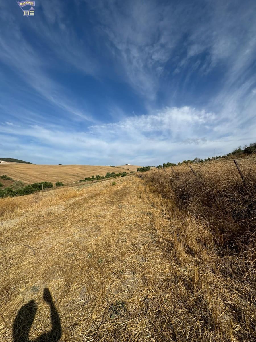 Grond te koop in Arcos de la Frontera - € 55.000 (Ref: 9373656)