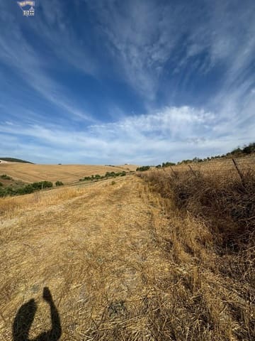 Rakentamaton maa myytävänä paikassa Arcos de la Frontera - 55 000 € (Ref: 9373656)