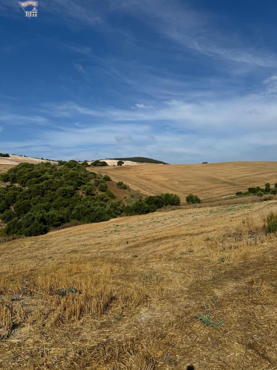 Grond te koop in Arcos de la Frontera - € 55.000 (Ref: 9373656)