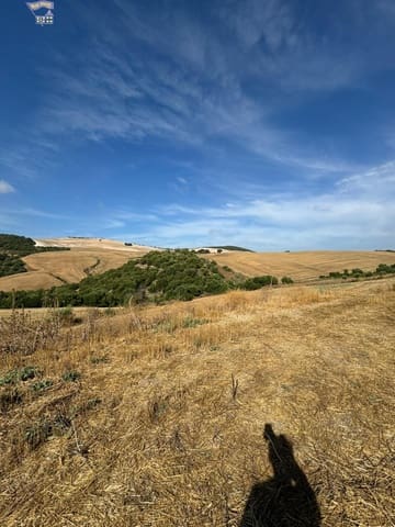 Rakentamaton maa myytävänä paikassa Arcos de la Frontera - 55 000 € (Ref: 9373656)