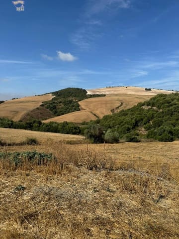 Rakentamaton maa myytävänä paikassa Arcos de la Frontera - 55 000 € (Ref: 9373656)