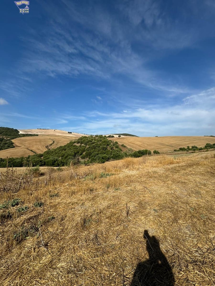 Undeveloped Land for sale in Arcos de la Frontera - € 45,000 (Ref: 9373656)