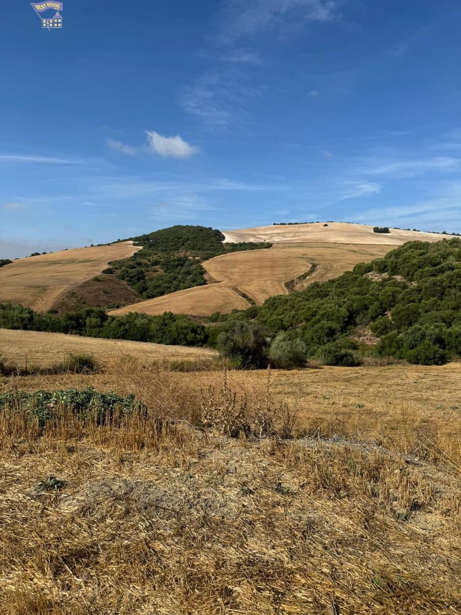 Undeveloped Land for sale in Arcos de la Frontera - € 45,000 (Ref: 9373656)
