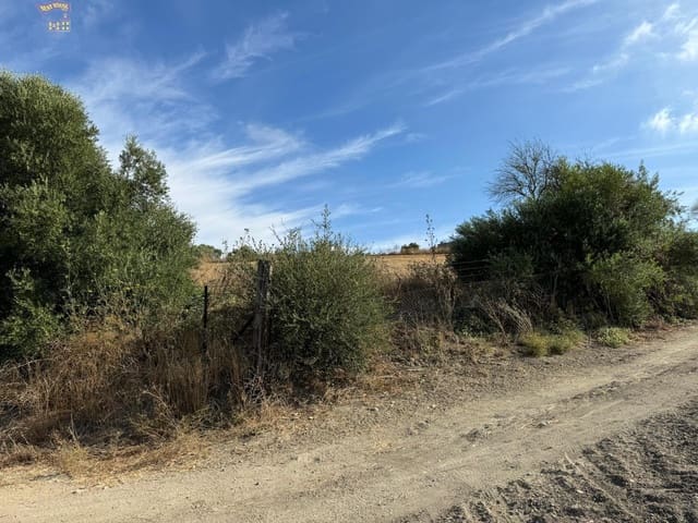 Undeveloped Land for sale in Arcos de la Frontera - € 25,000 (Ref: 9373656)