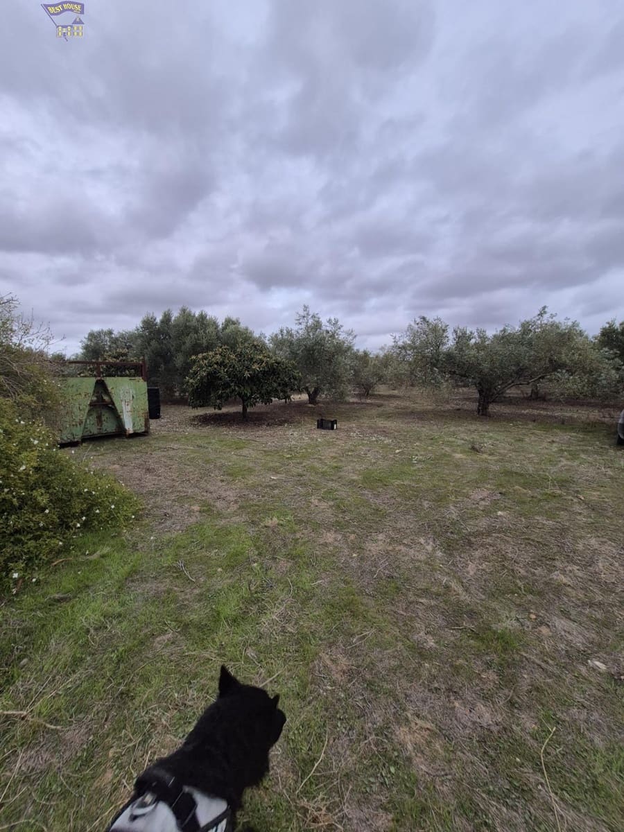 3 bedroom Finca/Country House for sale in Arcos de la Frontera - € 299,900 (Ref: 9413980)