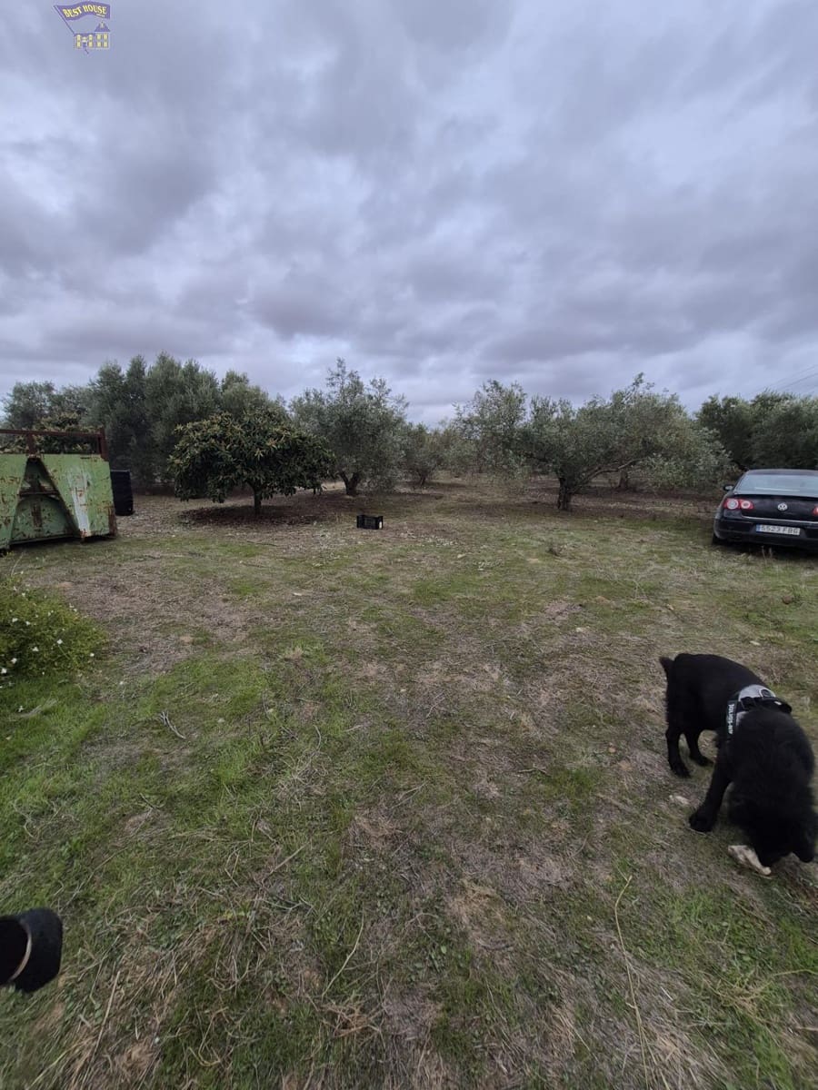 3 bedroom Finca/Country House for sale in Arcos de la Frontera - € 299,900 (Ref: 9413980)