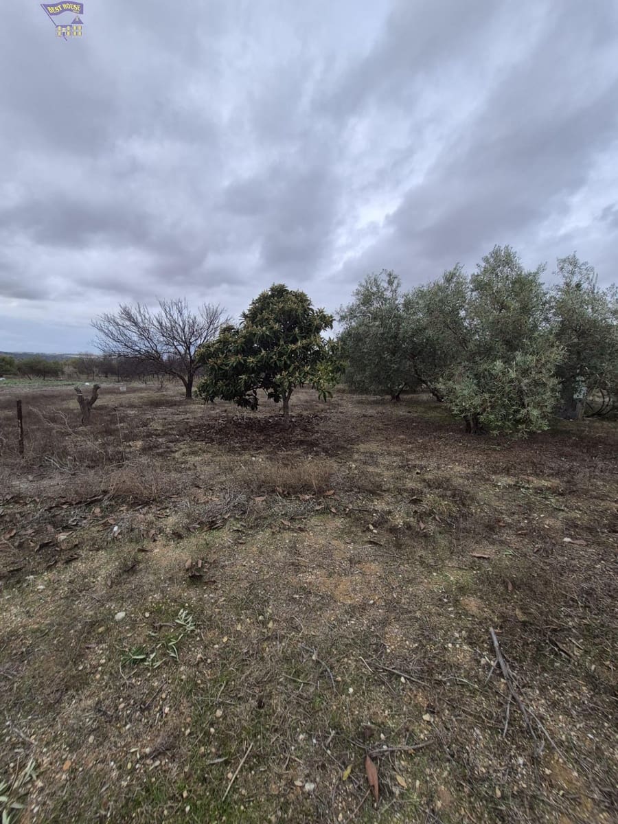 3 bedroom Finca/Country House for sale in Arcos de la Frontera - € 299,900 (Ref: 9413980)