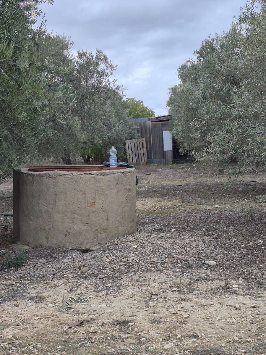 3 bedroom Finca/Country House for sale in Arcos de la Frontera - € 299,900 (Ref: 9413980)