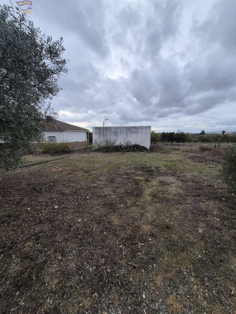 3 bedroom Finca/Country House for sale in Arcos de la Frontera - € 299,900 (Ref: 9413980)