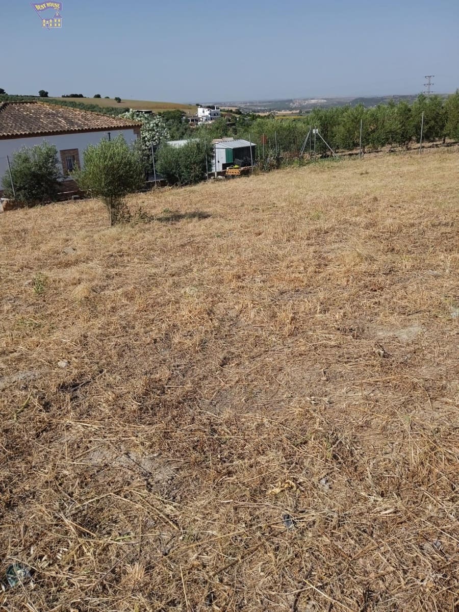 Bouwgrond te koop in Arcos de la Frontera - € 29.900 (Ref: 9438142)