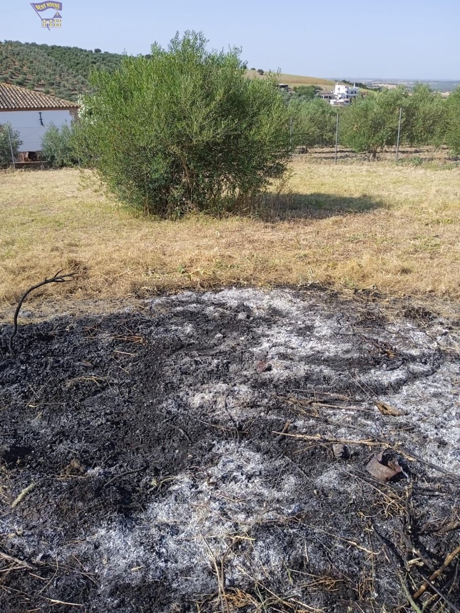 Bouwgrond te koop in Arcos de la Frontera - € 29.900 (Ref: 9438142)