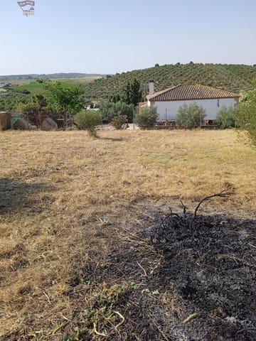 Tomt till salu i Arcos de la Frontera - 29 900 € (Ref: 9438142)