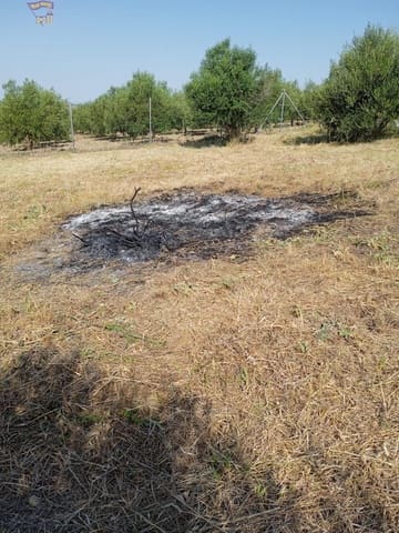 Tomt till salu i Arcos de la Frontera - 29 900 € (Ref: 9438142)