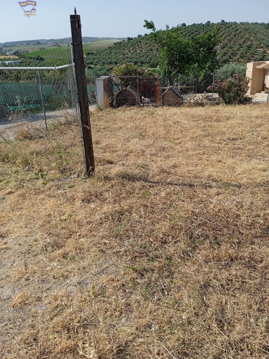 Bouwgrond te koop in Arcos de la Frontera - € 29.900 (Ref: 9438142)