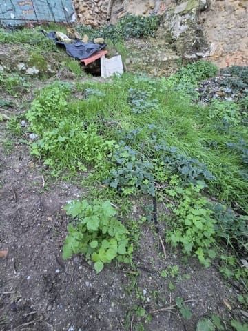 Area Edificabile in vendita in Arcos de la Frontera - 25.000 € (Rif: 9465693)