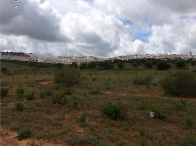 Terreno Non Edificato in vendita in Arcos de la Frontera - 350.000 € (Rif: 9596391)