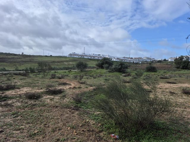 Terre non Aménagée à vendre à Arcos de la Frontera - 350 000 € (Ref: 9596391)