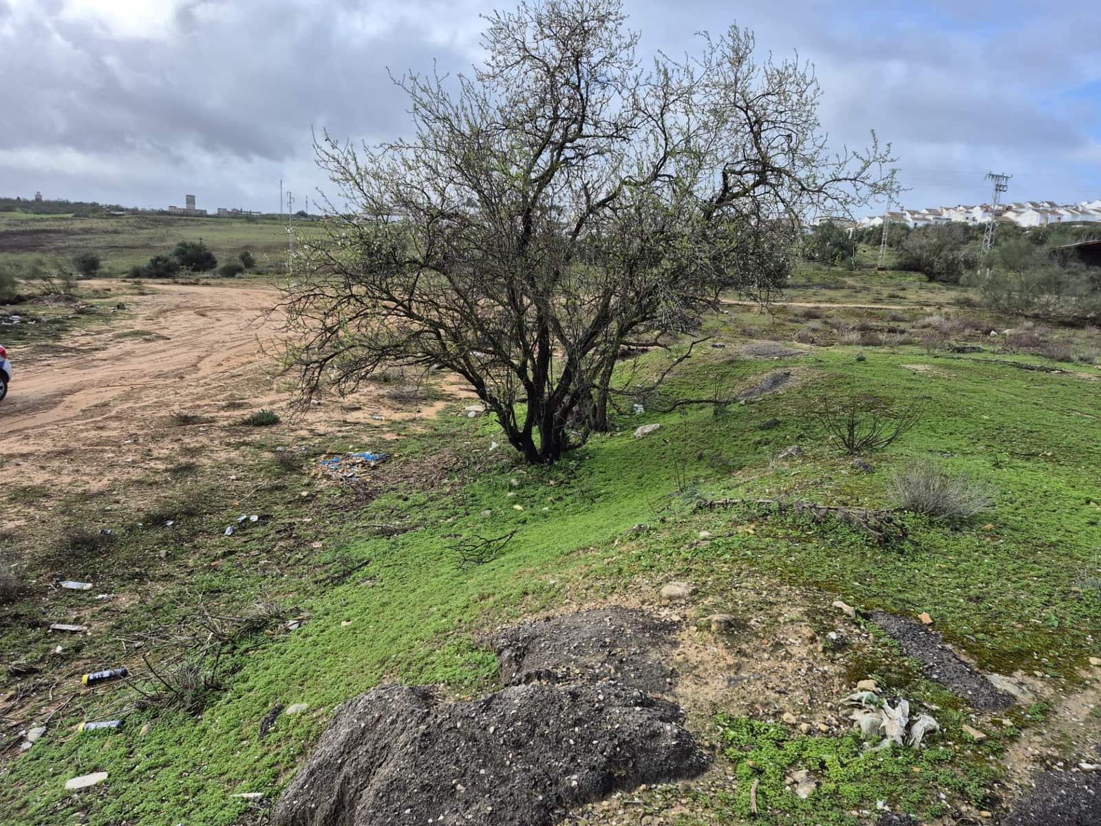 Undeveloped Land for sale in Arcos de la Frontera - € 350,000 (Ref: 9596391)